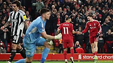 Radost Mohameda Salaha a Floriana Wirtze po gólu v utkání s Newcastlem.
