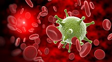 SARS-CoV-2 pat�í do rodiny koronavir�, stejn� jako p�íbuzné viry p�enesené na...