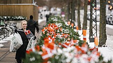 Dánské vlajky p�ed americkou ambasádou v Kodani (28. ledna 2026)