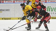 Litvínov, 29.1. 2026, HC Verva Litvínov - Mountfield Hradec Králové, 47. kolo...