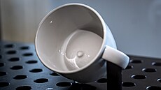 Výstava Dary pro prezidenta z dálky i blízka II. v Ro�mberském paláci na...