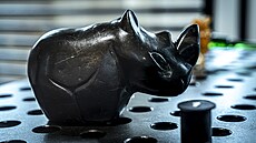 Výstava Dary pro prezidenta z dálky i blízka II. v Ro�mberském paláci na...