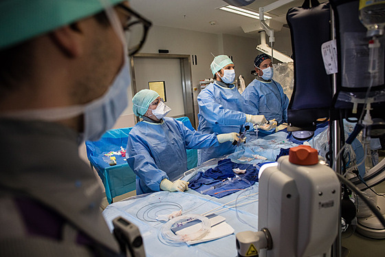 Léka�i v nemocnici Rangueil v Toulouse (29. zá�í 2020)