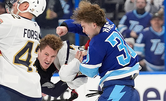 Olympiáda je pryč, vrací se NHL. Co v ní čeká nejen Čechy? Boj o play off i trofeje