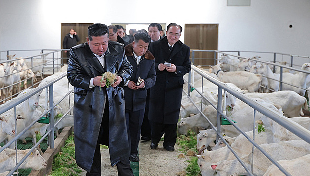 Severokorejci klimbají u filmů o Kimovi. Politický prohřešek, zuří režim