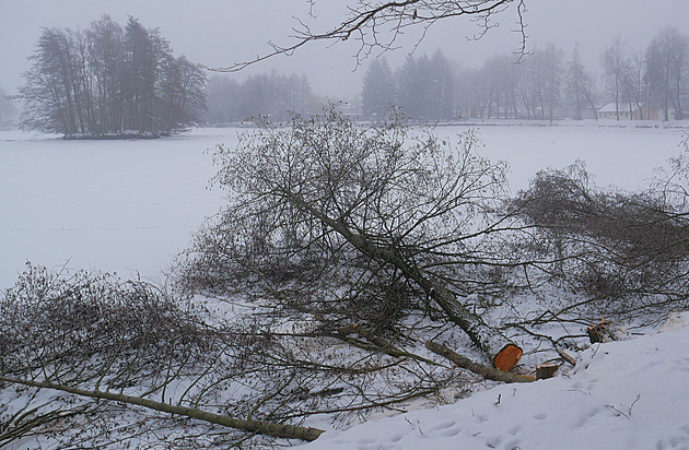 Žďár křísí Horní rybník. Bahno zpevní pole, okolí zaplní ptačí pozorovatelna