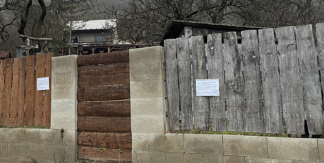 Týrání kočky v sušičce: protest u domu zrušili, mladík už se v něm nezdržuje
