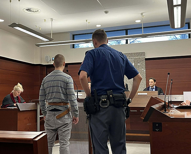 Zkopal ji a nechal v zimě u přejezdu. Muž přiznal vinu za smrt známé, dostal 11 let