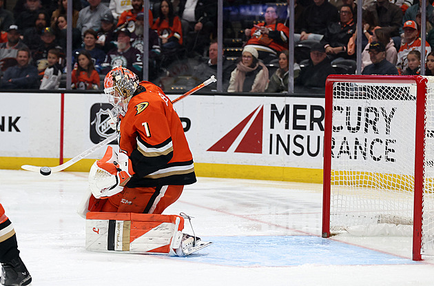 Dostál s Vladařem v NHL slavili výhry, Palát asistoval za Islanders
