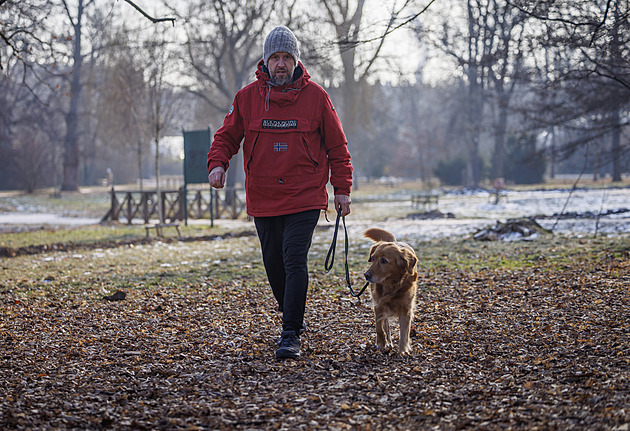 Psi ve městě mívají paradoxně lepší život než ti na vesnici, říká odborník