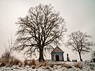 Pam�tn� stromy se do�kaj� odborn� p��e. Na sn�mku l�pa u kaple sv. Anton�na v...