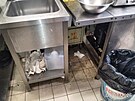 V�udyp��tomn� nepo��dek v kuchyni mari�nskol�ze�sk� restaurace