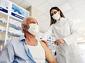 N�kte�í lékárníci by cht�li o�kovat tak jako léka�i. Pilotní projekt ukázal, �e...