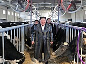 Severokorejský v�dce Kim �ong-un p�i inspekci farmy v provincii Severní...