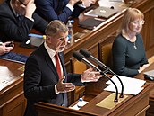 Mimo�ádná sch�ze Poslanecké sn�movny k vyslovení ned�v�ry vlád�. Na snímku...