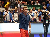 Ji�í Lehe�ka slaví zisk bodu v daviscupové kvalifikaci proti �védsku.