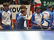 Ji�í Lehe�ka slaví zisk bodu v daviscupové kvalifikaci proti �védsku.