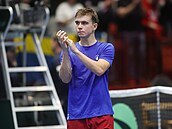 Dalibor Svr�ina slaví výhru v utkání Davis Cupu proti �védsku.