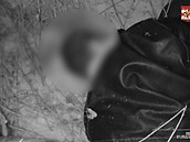 Cizinec se pokusil znásilnit �enu, policisté ho vzáp�tí dopadli