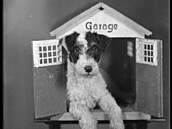 Za vzorníky jabloneckých exportních dom� a sklen�nými negativy u� nemusí...