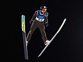 Do olympijského závodu vstoupila skokanka na ly�ích Ane�ka Indrá�ková (7. února...