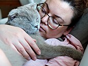 Prémium, ko�ka, �ich, studie, rozpoznání nemoci,