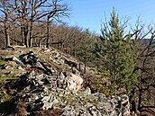 Na Malou Babku chodí výletník� mén�. P�esto tam také najdou vrcholovou knihu.