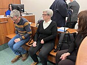 Okresní soud v D��ín� se za�al zabývat pádem d�tí z vyhlídkové plo�iny v...