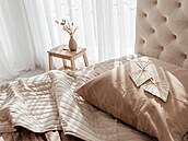 Ilustra�ní obrázek