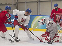 Tomá� Hertl dorá�í puk p�ed Luká�em Dostálem, situaci sledují Radko Gudas,...