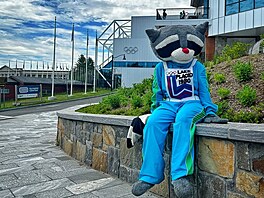 Maskotem her v Lake Placid se stal mýval Roni, jeho� jméno vybraly místní...