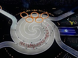 Slavnostní zahájení XXV. zimní olympiády v Itálii. Vlajkono�em �eska je...