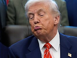 Americký prezident Donald Trump. (3. února 2026)