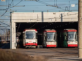 n�mecko stávka odbory verdi MHD