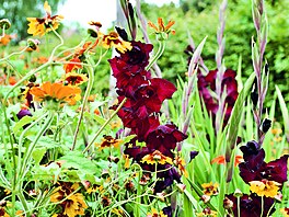 Sven Beck, Pozor kvetu, Grada