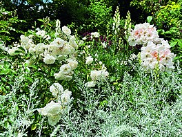 Sven Beck, Pozor kvetu, Grada