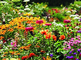 Sven Beck, Pozor kvetu, Grada Publishing