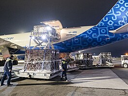 Zoo Praha, zubr evropský, reintrodukce, Ázerbájd�án