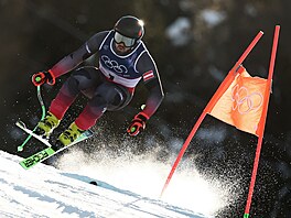 Raku�an Daniel Hemetsberger na trati olympijského sjezdu.