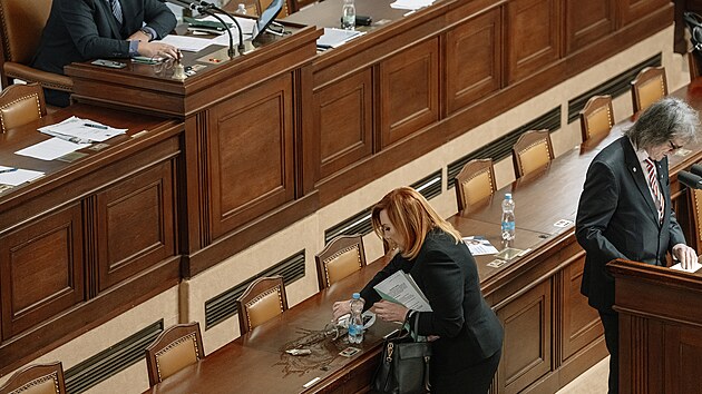 Druh�m dnem pokra�uje mimo��dn� sch�ze Sn�movny k hlasov�n� o ned�v��e vl�d� premi�ra Andreje Babi�e. Na sn�mku ministryn� financ� Alena Schillerov�. (4. �nora 2026)