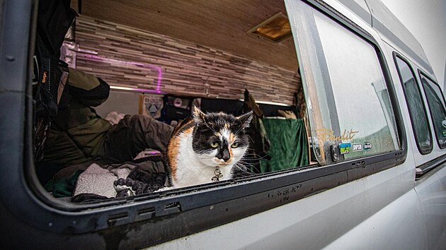 Tento zp�sob �ivota spln�n�m snem, kter� mu umo��uje tr�vit �as v p��rod�, v�novat se kon��k�m a cestovat s jeho ko�kou Mini po kr�s�ch Walesu �i Cornwallu.