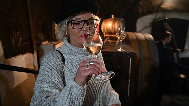 Arcibiskupsk� sklepy v Krom���i. (�nor 2026)