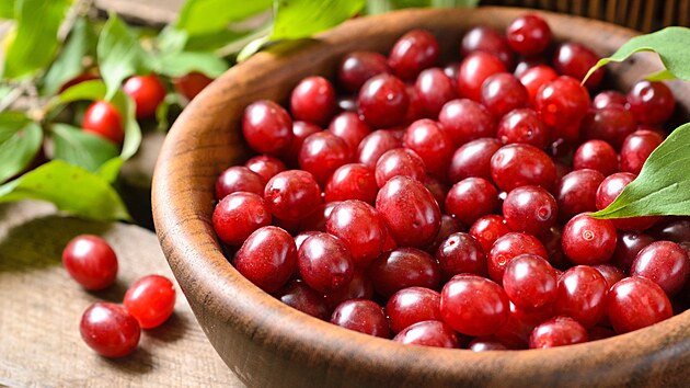 d��n, ovoce, ovocn� ke�