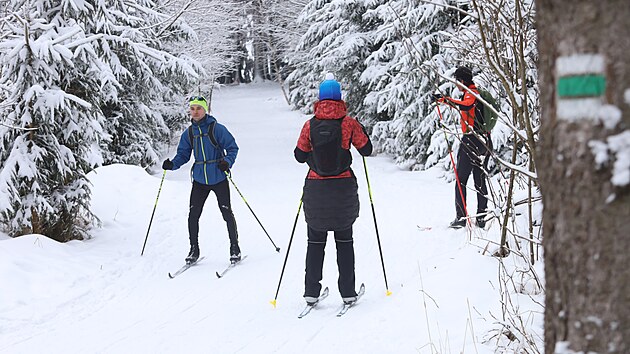 Nejlep�� podm�nky maj� milovn�ci b�eck�ho ly�ov�n� aktu�ln� na ���rsku. Frekventovan� je hlavn� oblast kolem T�� Studn�, Fry�avy, Vlachovic a Sklen�ho (na sn�mku). Kochat se p��rodou z b�l� stopy lze i kolem ���ru nad S�zavou, Vesel��ka, Velk�ho D��ka �i Svratky. (3. �nora 2026)