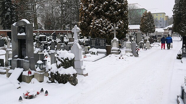 Byst�ick� h�bitov v Novom�stsk� ulici je jedin� ve m�st�. Dal�� se nach�z� v m�stn� ��sti V�tochov. Ten pro�el �pravami loni.