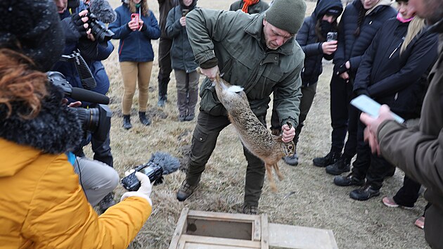 Lednov� odborn� odchyt zaj�c� poln�ch. Projekt vznikl ve spolupr�ci �esk� zem�d�lsk� univerzity v Praze, V�zkumn�ho �stavu lesn�ho hospod��stv� a myslivosti a Honebn�ho spole�enstva Bavorovice. C�lem projektu je l�pe porozum�t tomu, jak se zaj�ci v okol� m�sta pohybuj�, kudy nej�ast�ji proch�zej� a kde jim hroz� nejv�t�� nebezpe��. (5. ledna 2026)