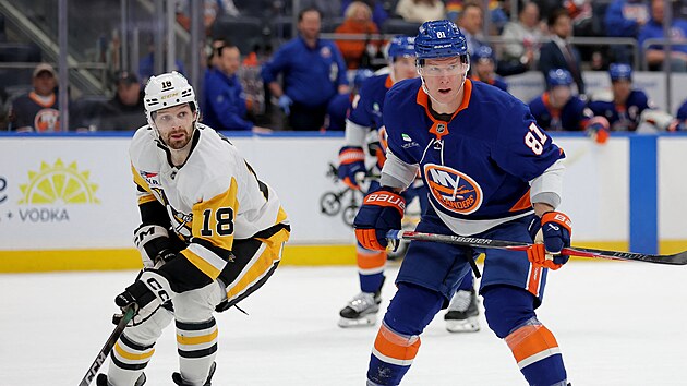 Ond�ej Pal�t (81) z New York Islanders a Tommy Novak (18) z Pittsburgh Penguins