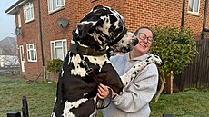 Vítání 1,88metrové dogy, která se po�ád chová jako �t�n�.