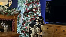 Ne�ekali, �e takto vyroste.