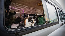 Tento zp�sob �ivota spln�ným snem, který mu umo��uje trávit �as v p�írod�,...